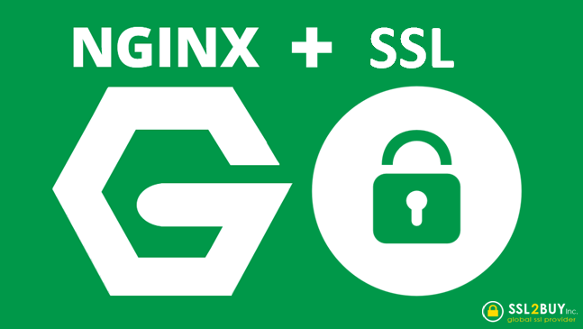 NGNIX SERVER SSL