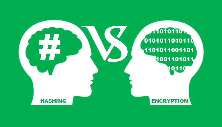 encryption vs hashing