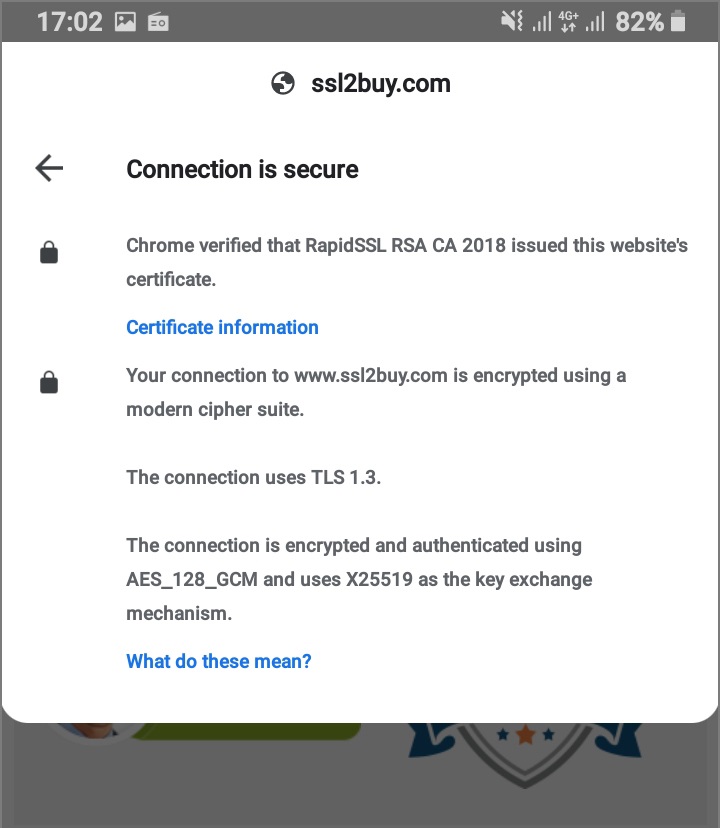 android ssl 1- view certificate detail