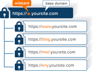 Sectigo Wildcard SSL