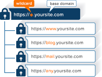 Wildcard SSL Certificates