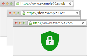 Multi-Domain SSL