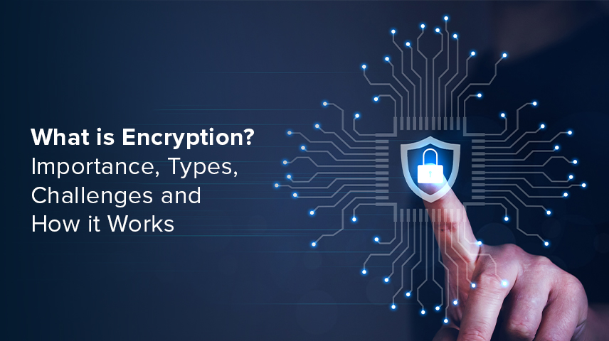What is Encryption? Importance, Types, Challenges and How it Works