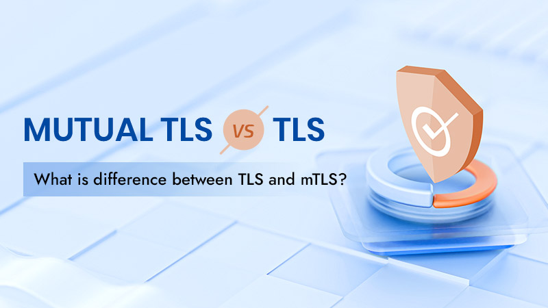 What is mTLS? How Does It Differ From TLS?