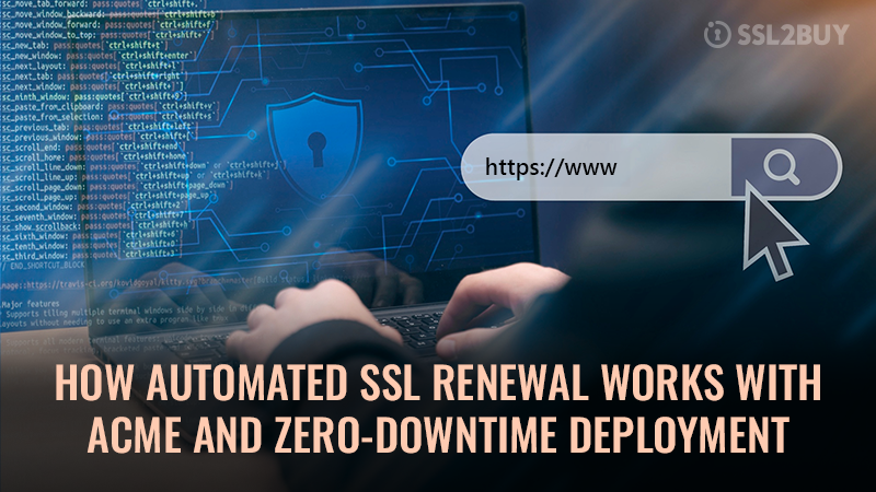 How Automated SSL Renewal Works across Modern Environments